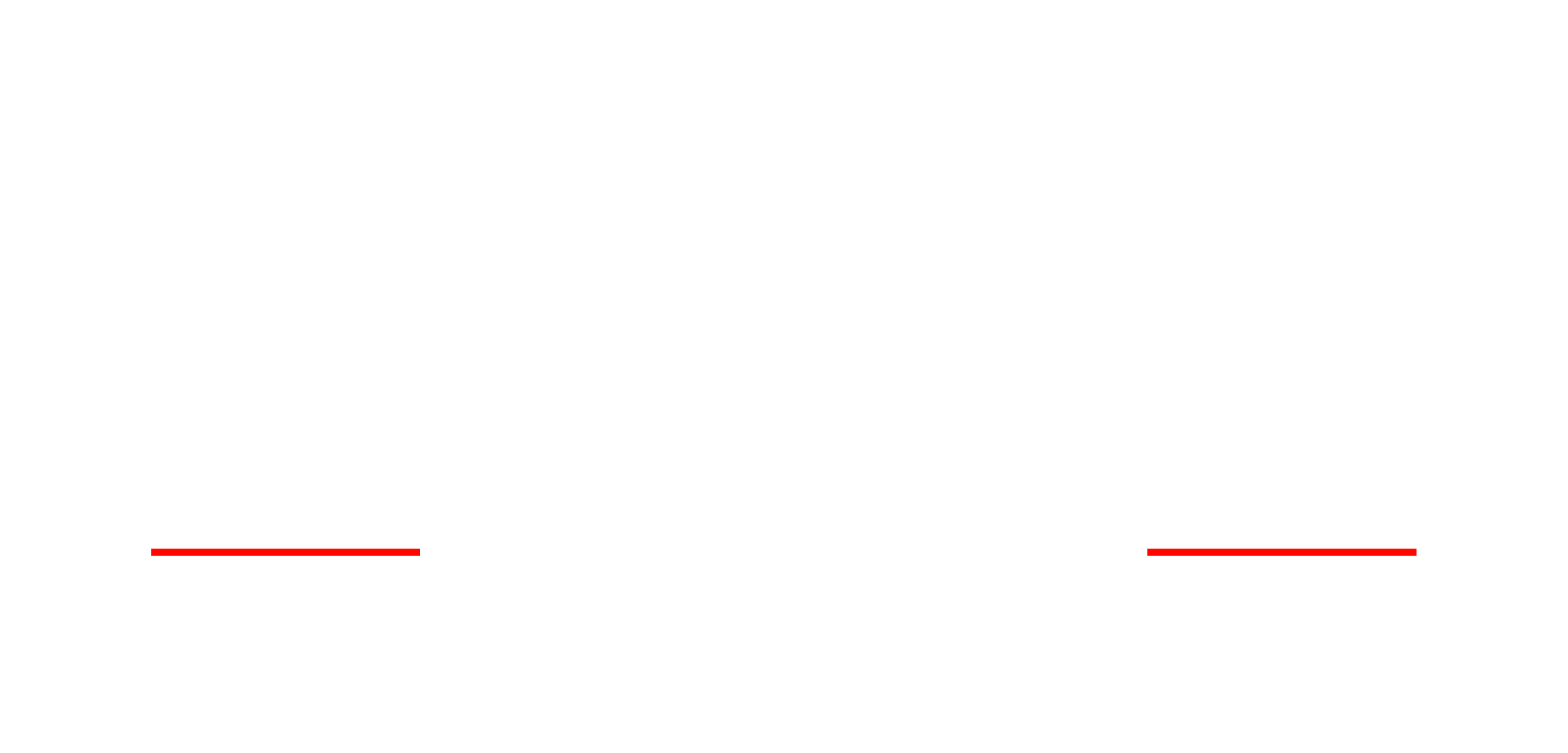 Swiftys Automobile